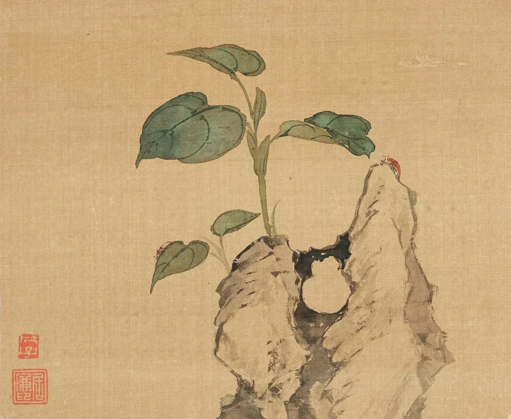 Scholar Rock Magnolia Moth Ju Lian