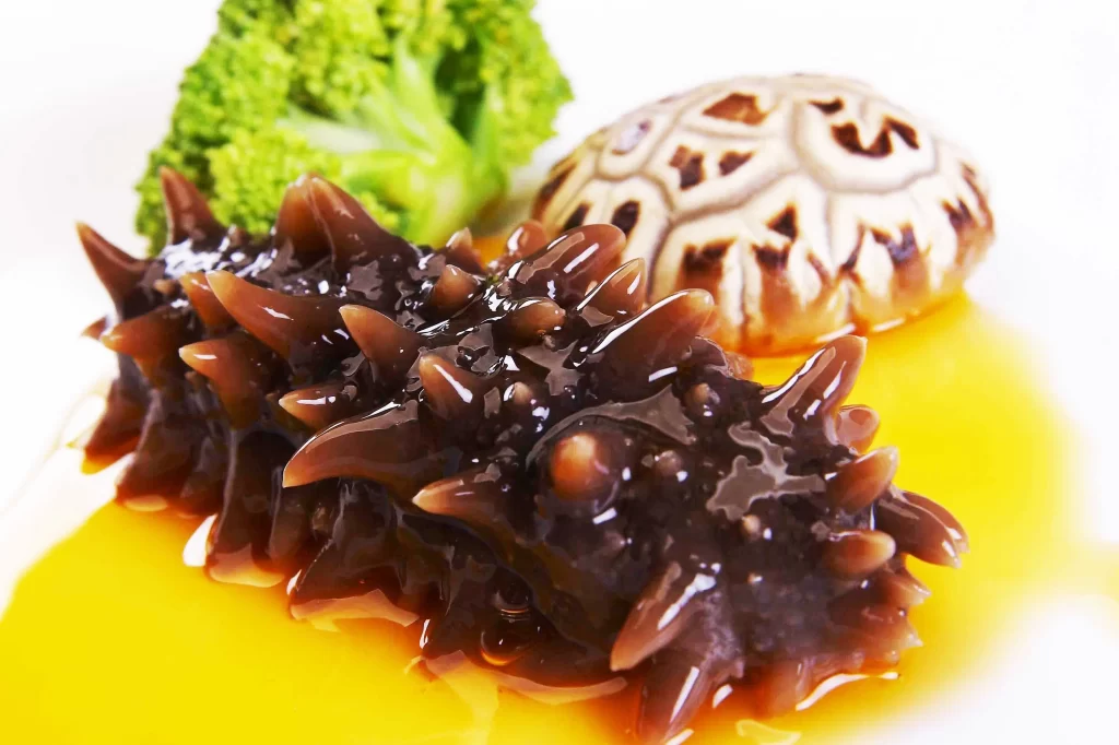 Sea Cucumber Braised Brown Glossy Broccoli