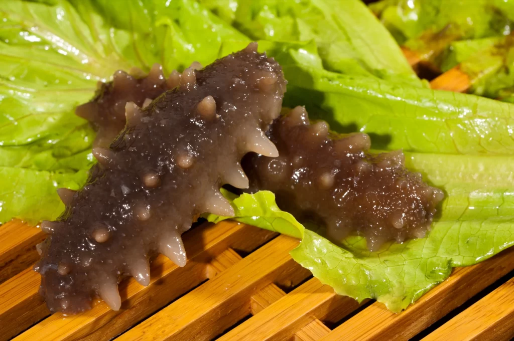 Sea Cucumber Brown Spiky Texture Green Lettuce