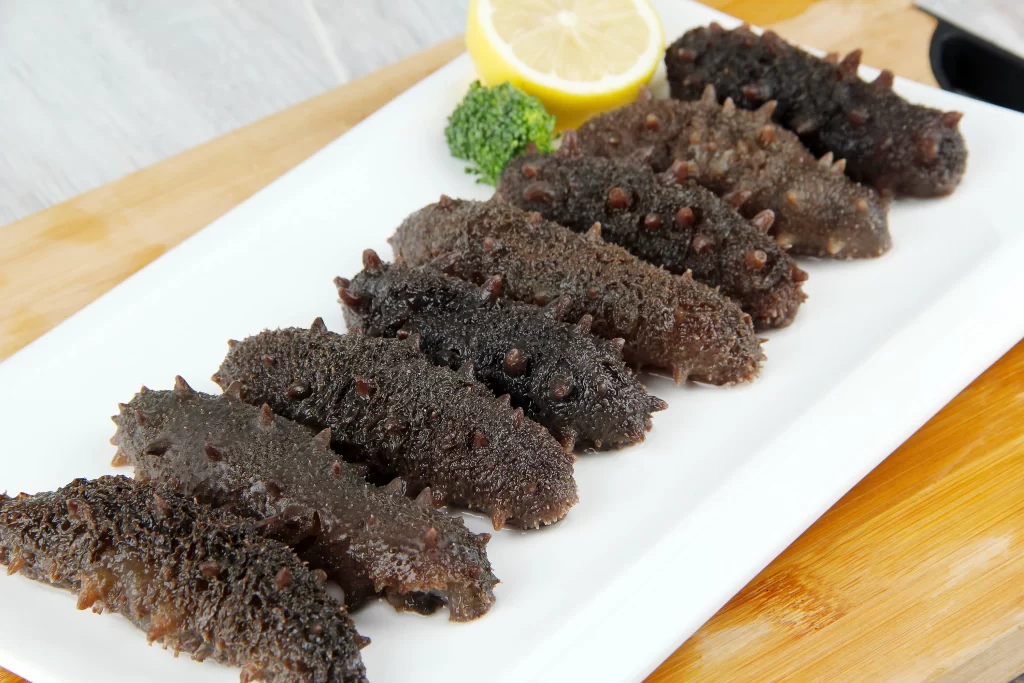 Sea Cucumber Raw Brown Spiky Texture