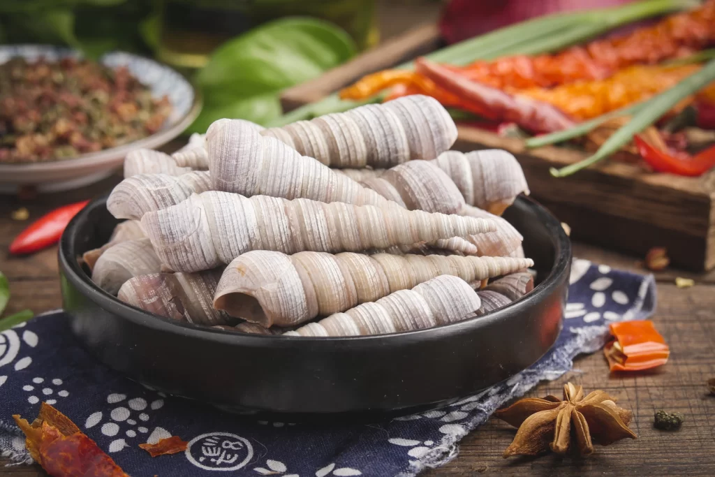 Sea Snails Raw White Striped