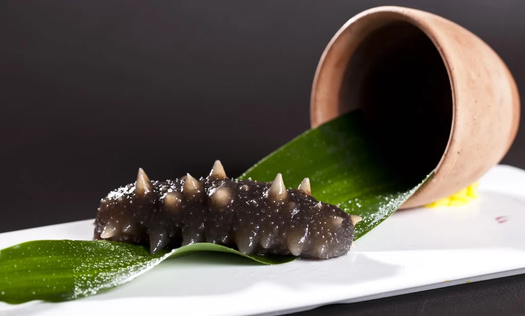 Sea Urchin Raw Black Spiky Texture Green Leaf
