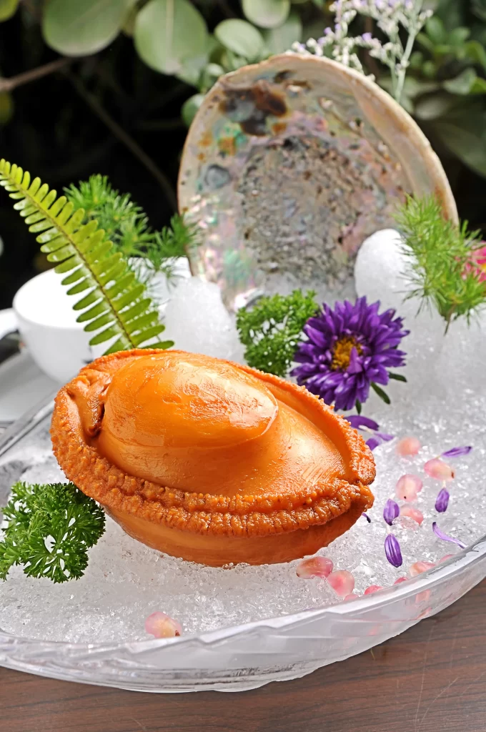 Seafood Abalone Orange Shell Ice Decoration