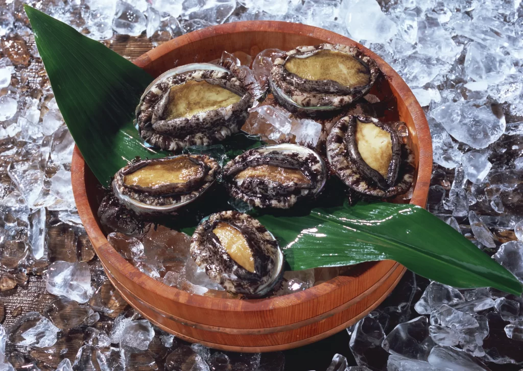 Seafood Fresh Ice Green Leaf Brown Shell