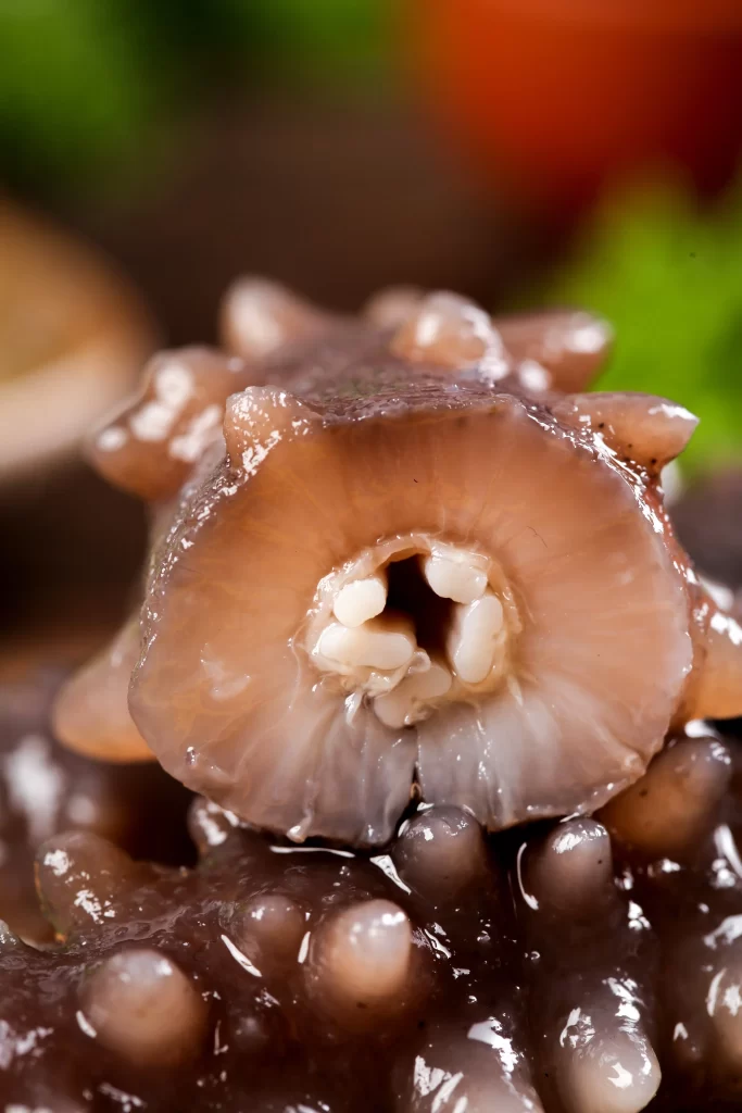 Seafood Octopus Tentacles Brown Color