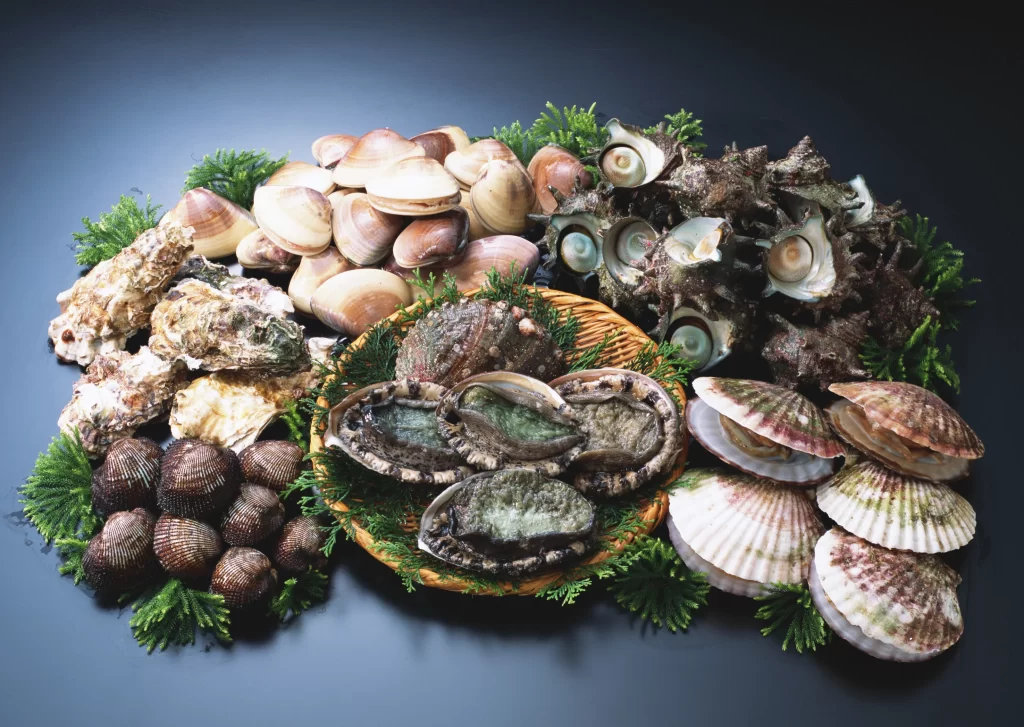Seafood Variety Shellfish Colorful Display