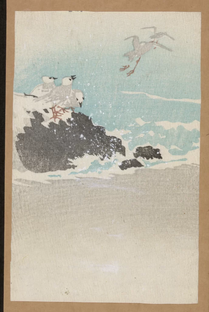 Seagulls Ocean Waves Rocks Minimalist Pastel