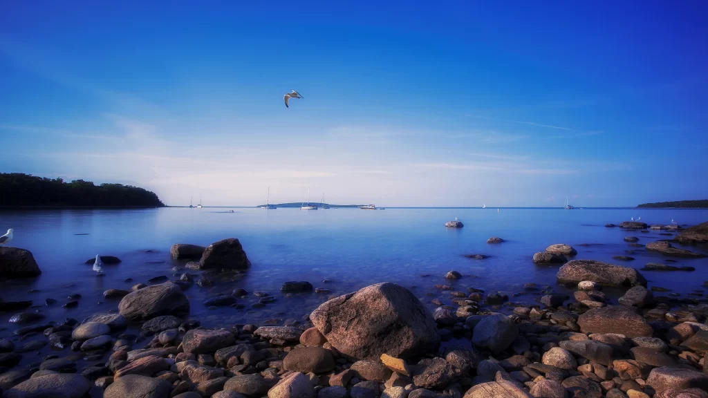 seascape rocks sky bird calm water