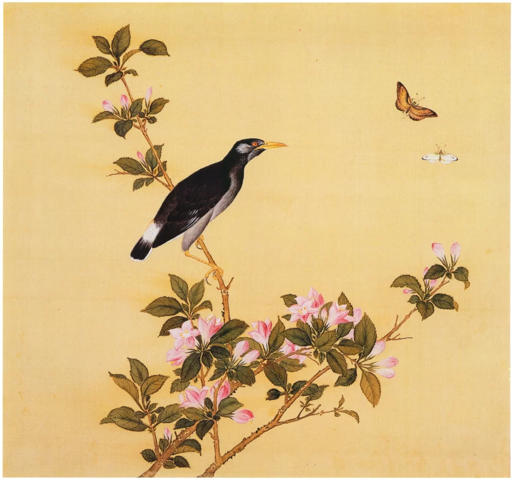 Shrike Bird Prey Branch Yu Sheng