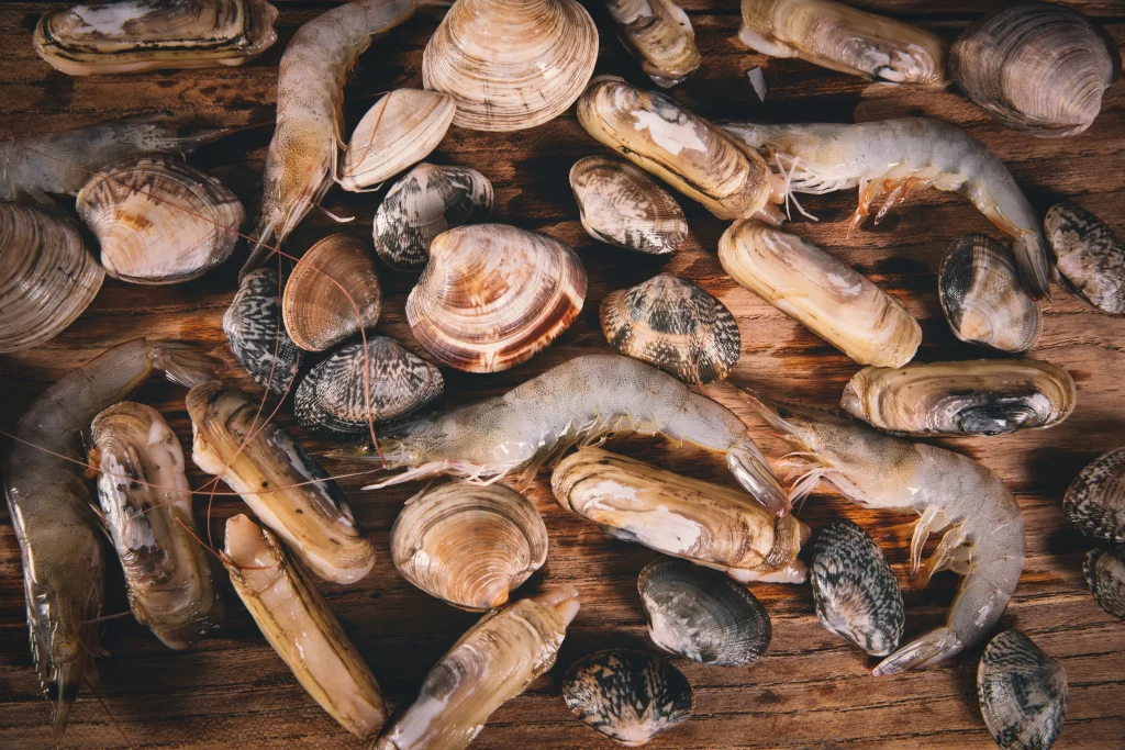 Shrimp Clams Oysters Brown Shell