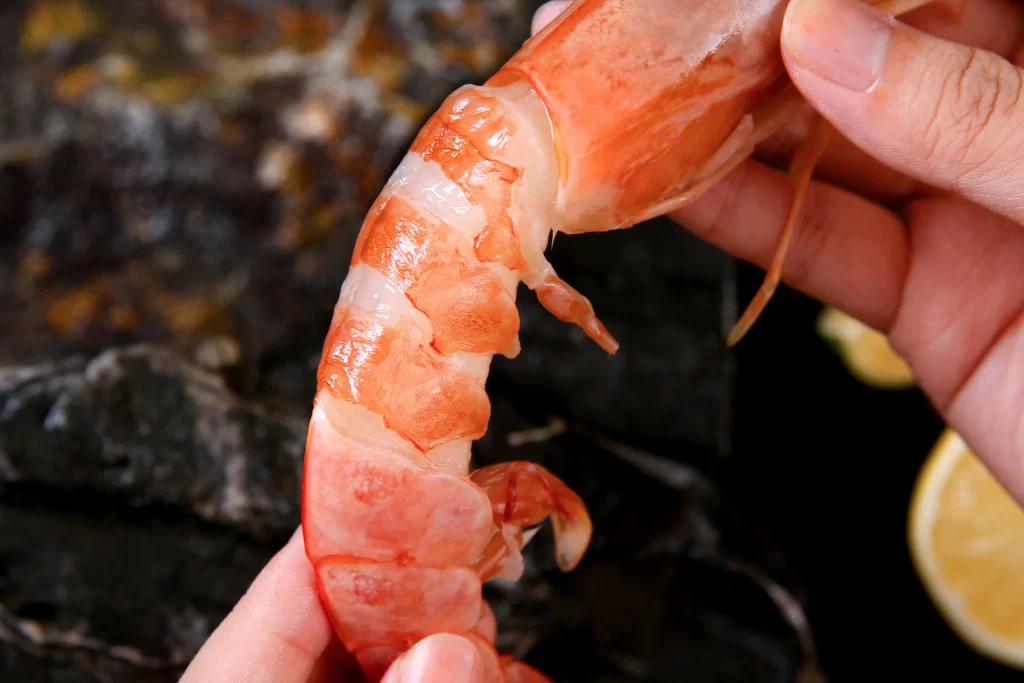 Shrimp Shell On Reddish-orange