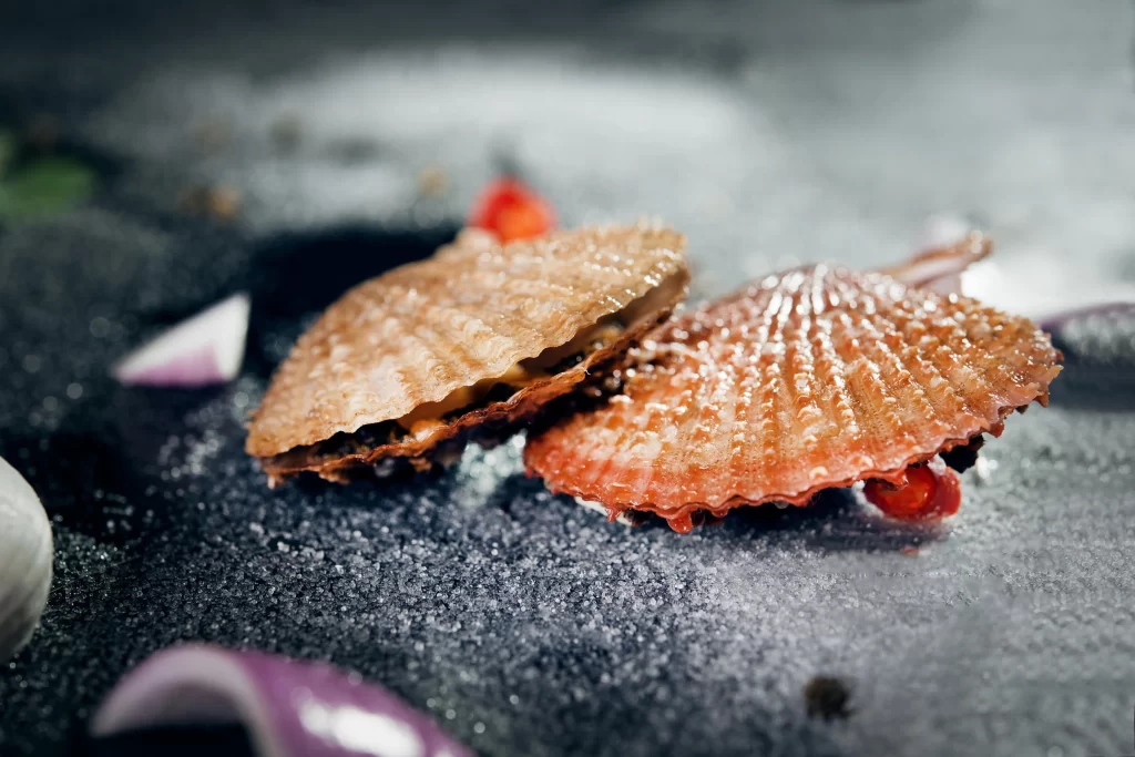 Sizzling Scallops Brown Shell Black Surface