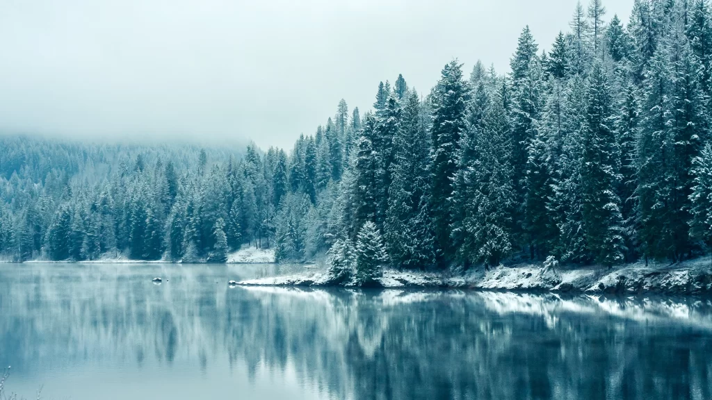 snow lake forest reflection winter tranquility