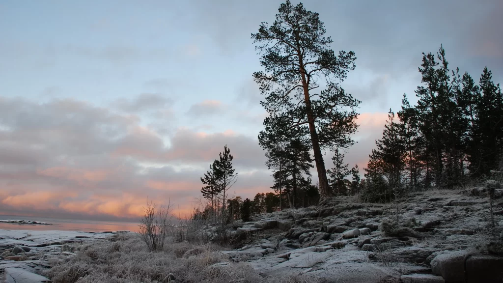 snow landscape trees sky sunset