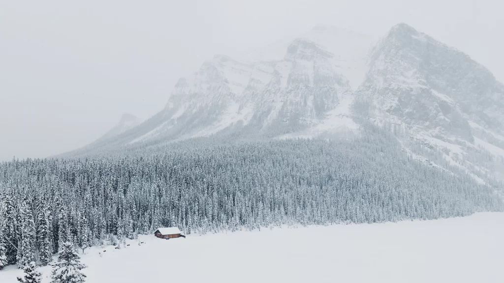 snow mountain forest cabin winter