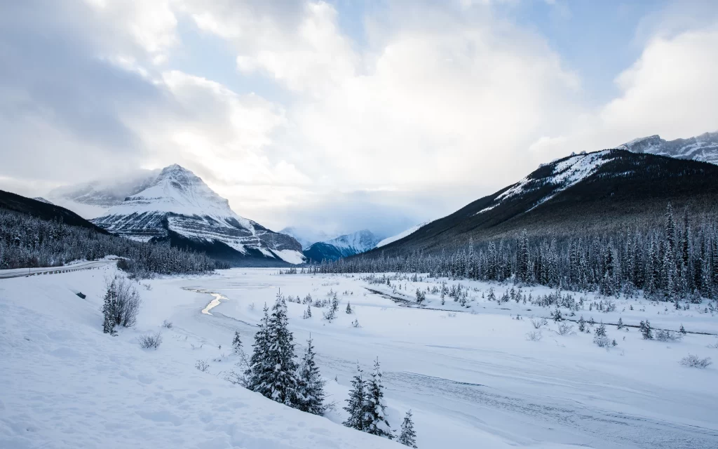 snow mountain landscape winter trees