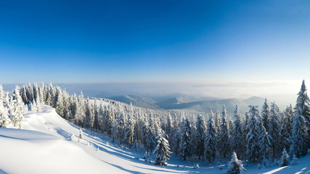 snow mountain trees sky landscape