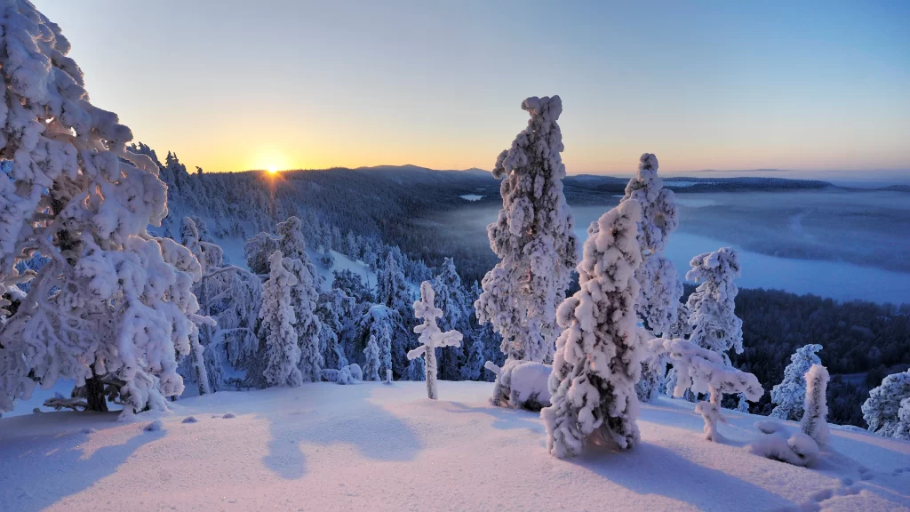 snow trees sunrise landscape winter tranquility