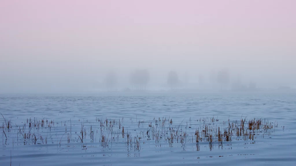 snow winter landscape foggy serene