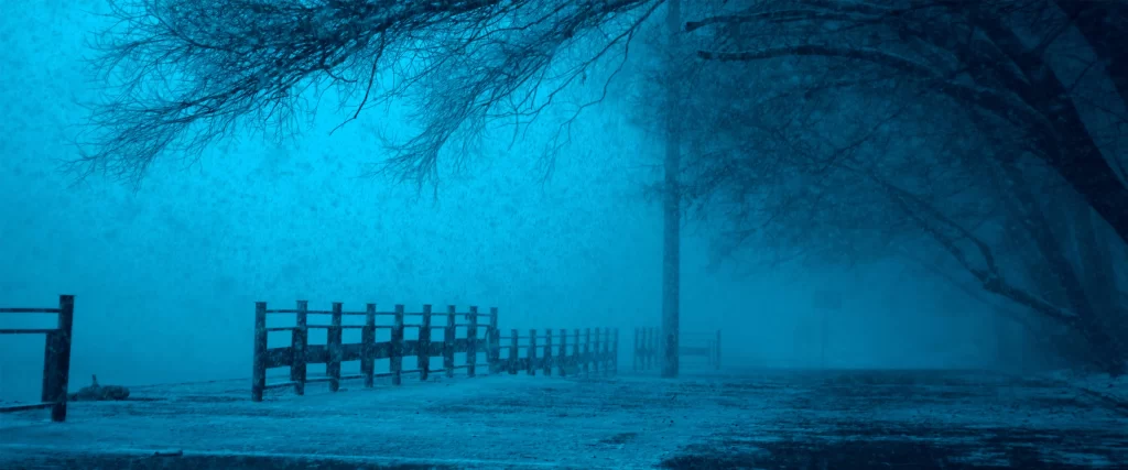 Snowy Foggy Trees Path Blue Serene
