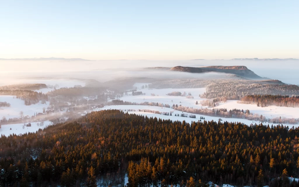 Snowy Landscape Forest Mountains Fog Sunrise Winter