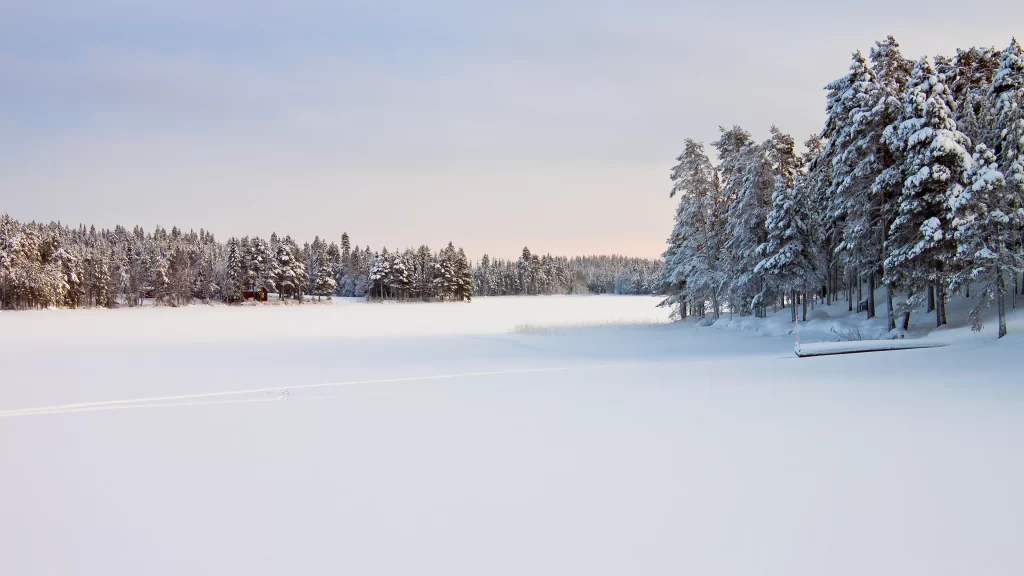 Snowy Landscape Winter Trees Frozen Lake Serene Cold
