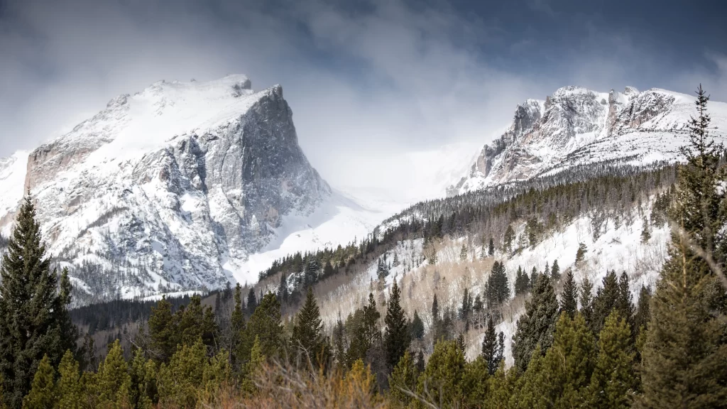 Snowy Mountains Evergreen Trees Clear Sky Rugged Terrain Serene Landscape Natural Beauty