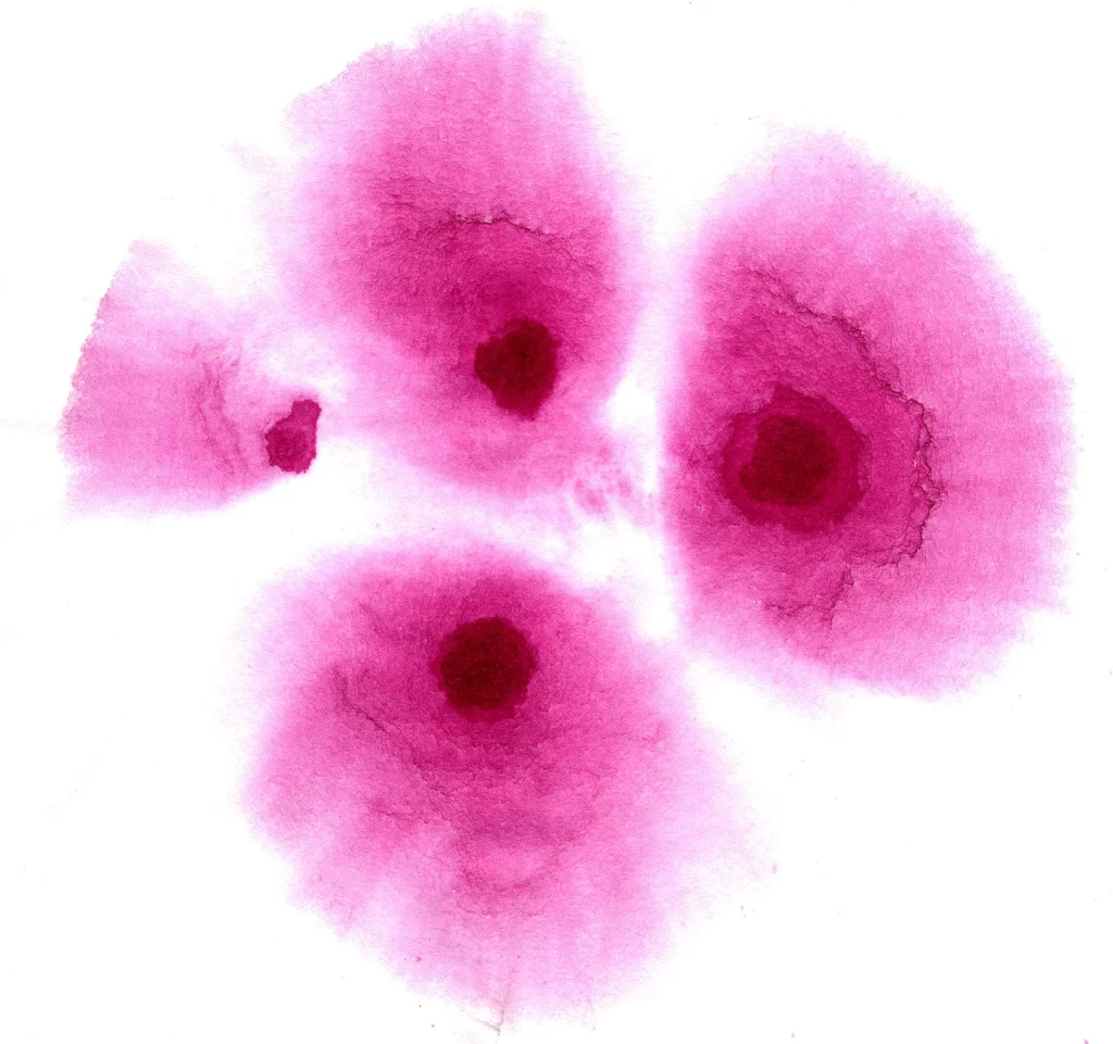 Soft Pink Blush Gradient Flowing Circular Delicate