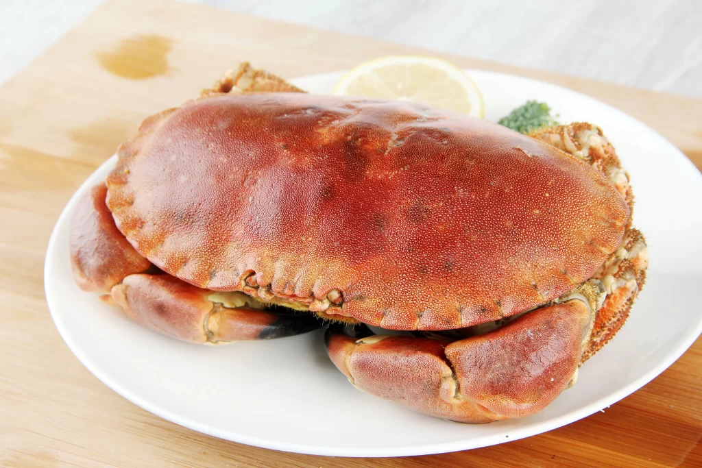 Steamed Crab Red Shell White Plate
