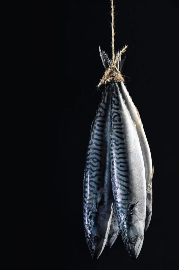 Suspended Fish Blue Pattern Dark Background