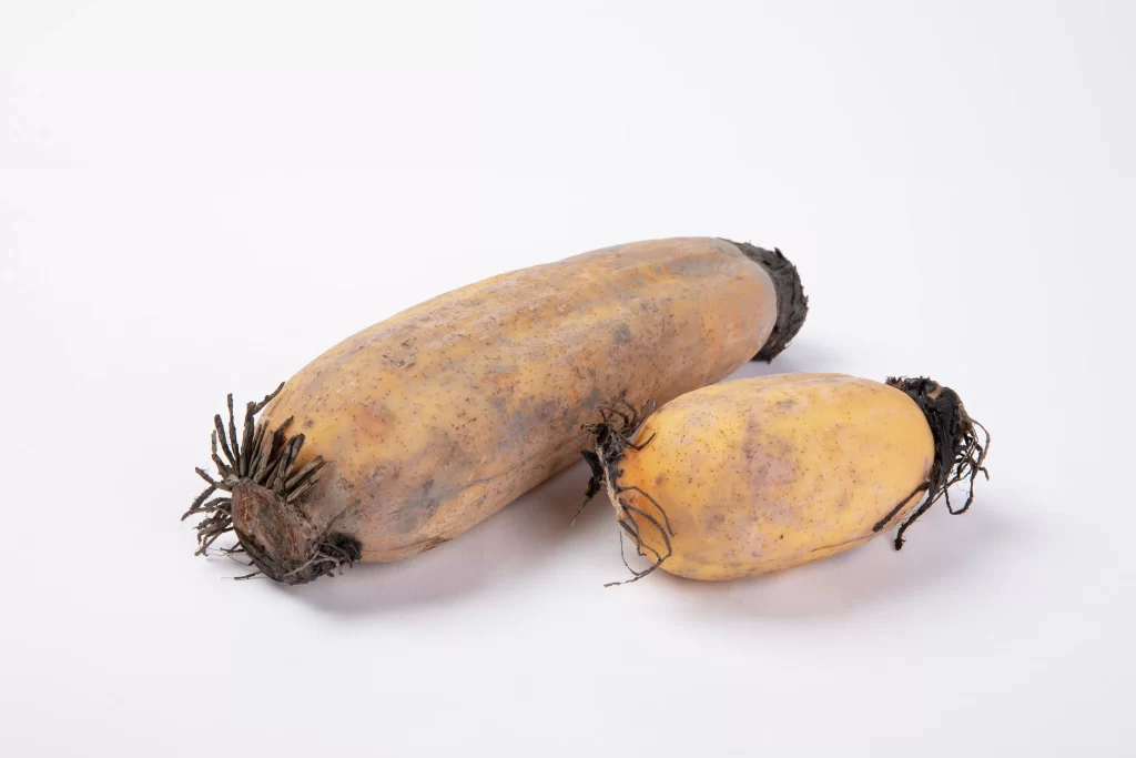 Sweet Potato Orange Root Vegetable Earthy