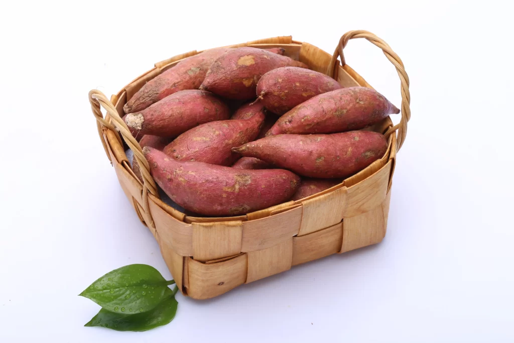 Sweet Potato Red Skin Root Nutritious