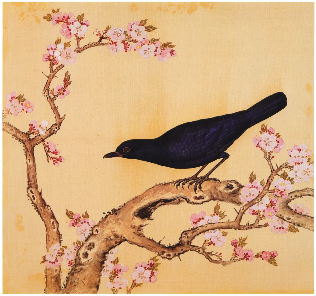Tanager Bird Fruit Branch Yu Sheng