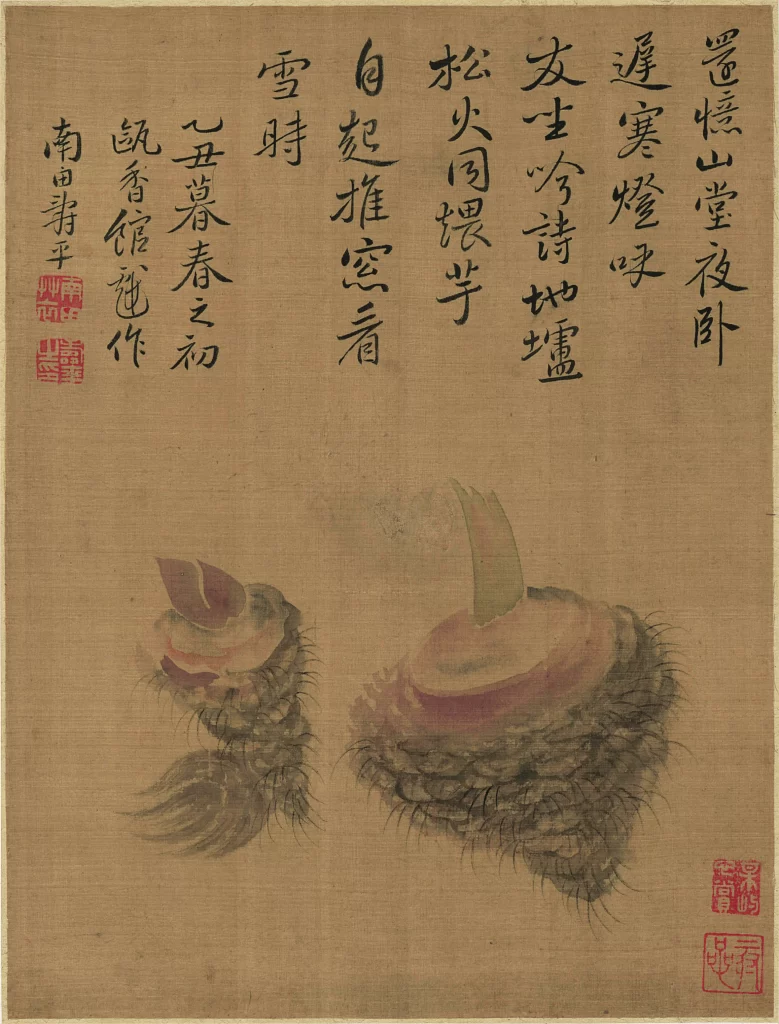 Taro Tubers Yun Shouping