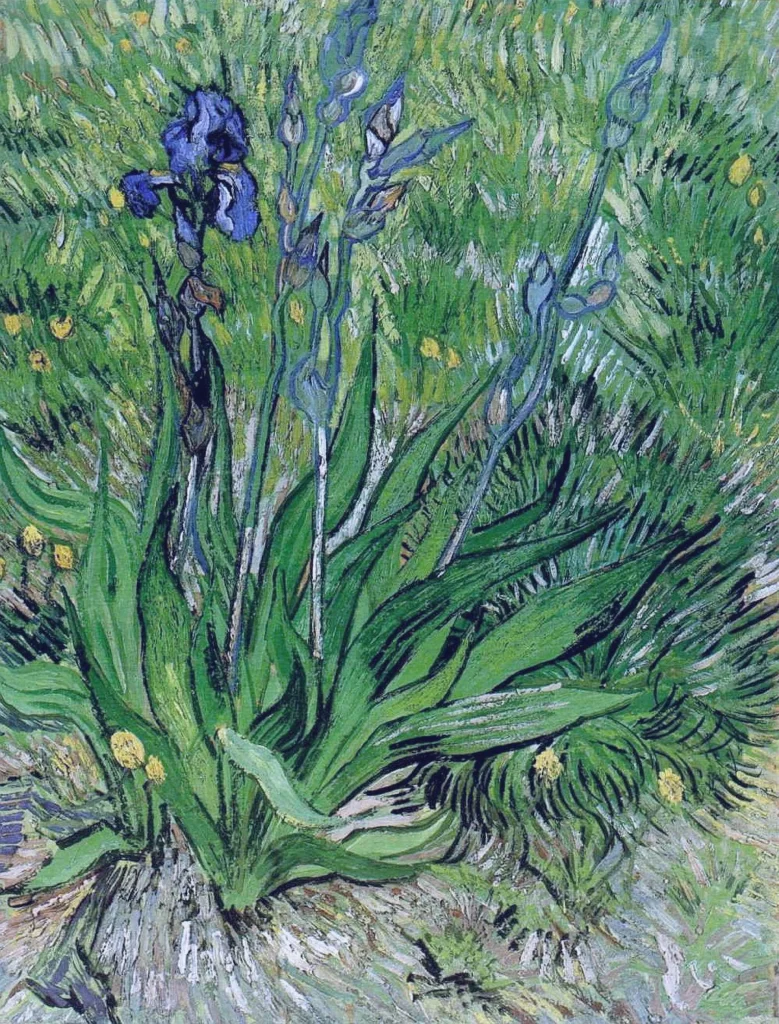 The Iris Van Gogh