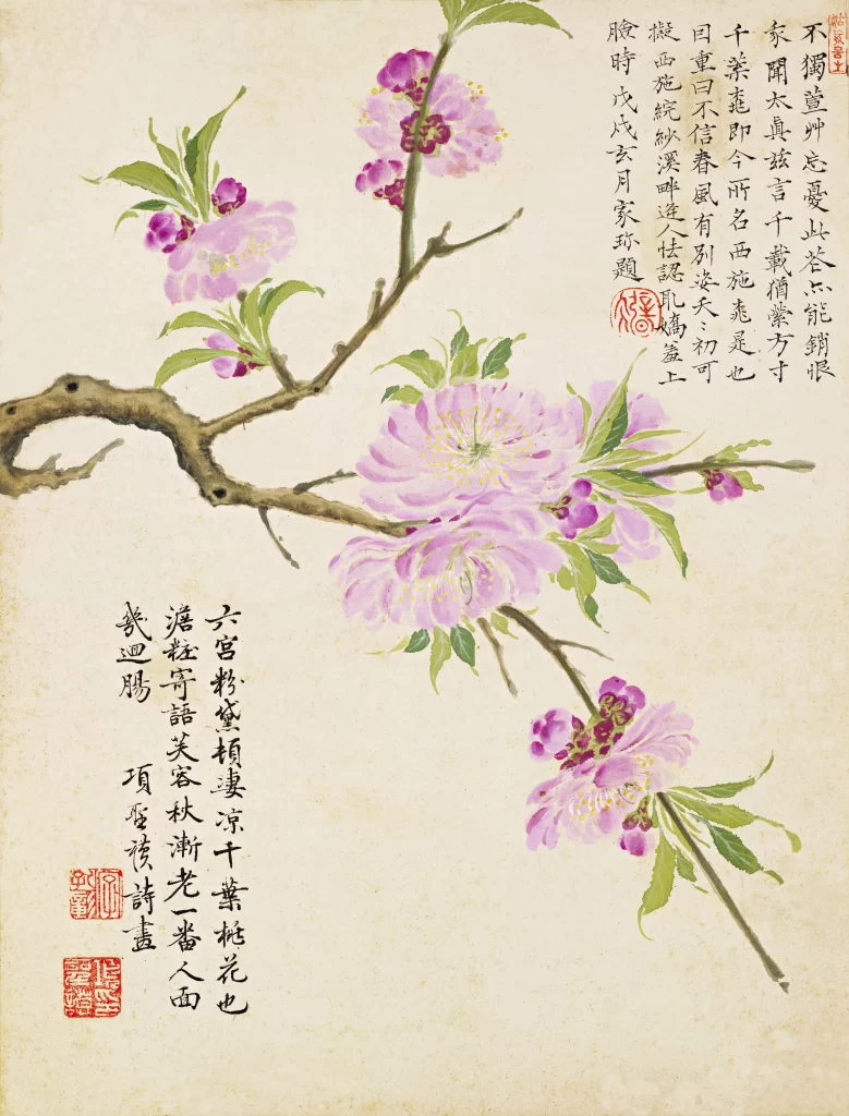 Thousand Leaf Peach Blossoms Pink Branch Xiang Shengmo