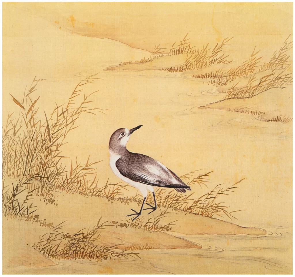 Titmouse Pine Cone Branch Yu Sheng