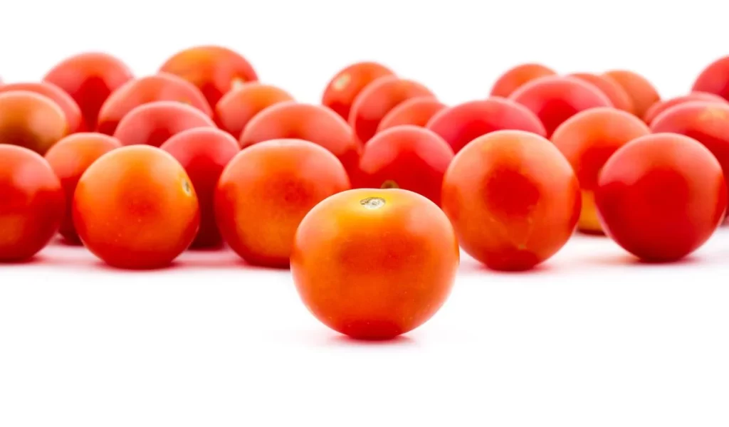 Tomato Red Round Fresh