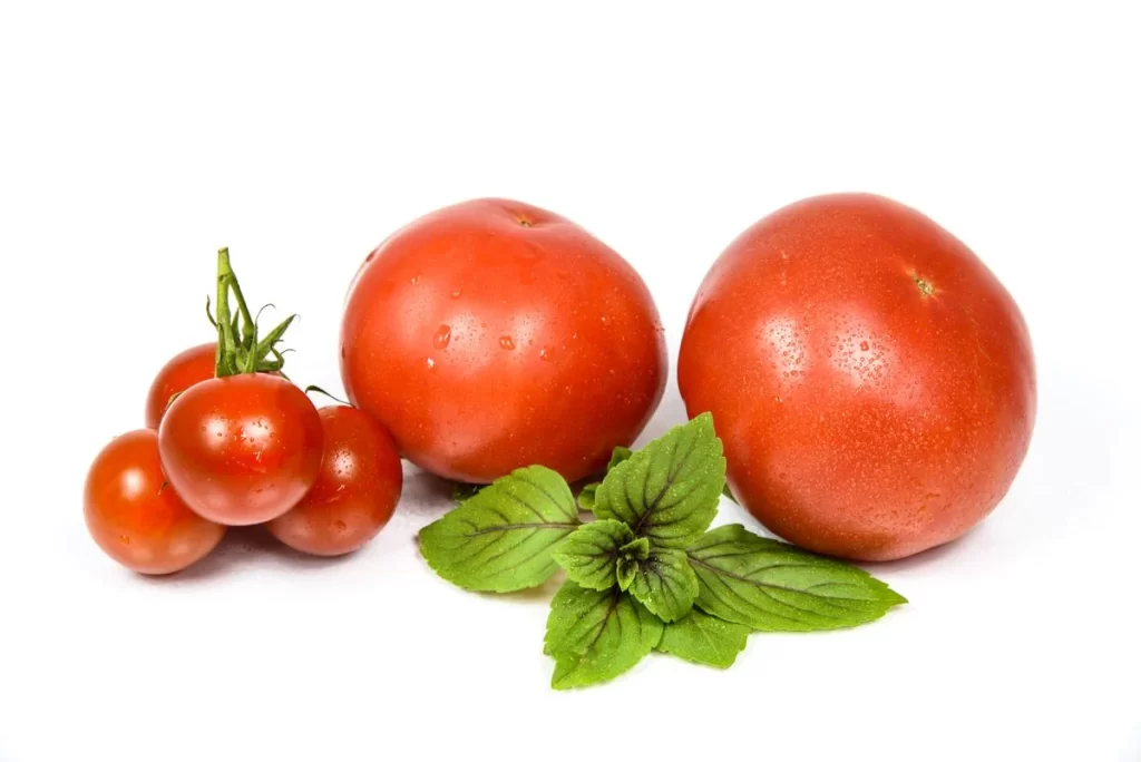 Tomato Red Round Fresh