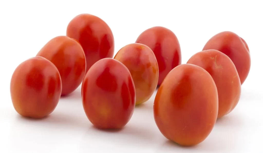 Tomato Red Round Shiny