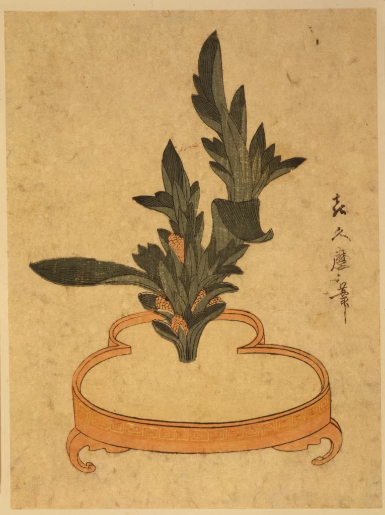 Traditional Chinese Painting Botanical Illustration Ink And Color Decorative Elements Cultural Heritage Botanical Art