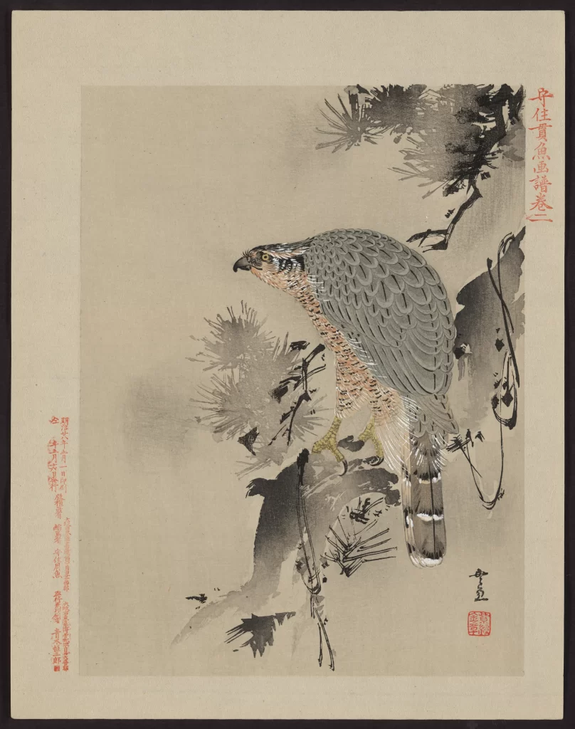 Traditional Ink Painting Bird Pine Tree Monochrome Detailed Feathers Red Seal
