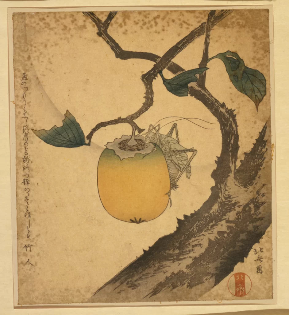 Traditional Japanese Art Nature Insect Fruit Branch Leaves