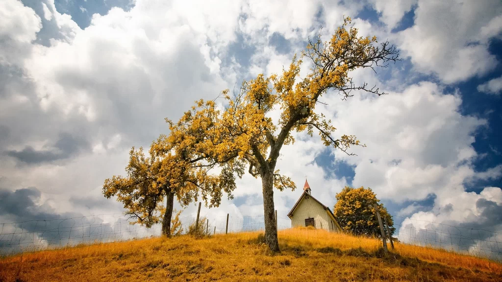 tree grass sky clouds house autumn