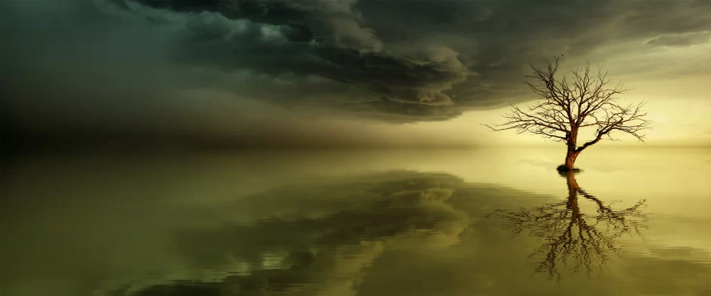 tree reflection clouds water sky