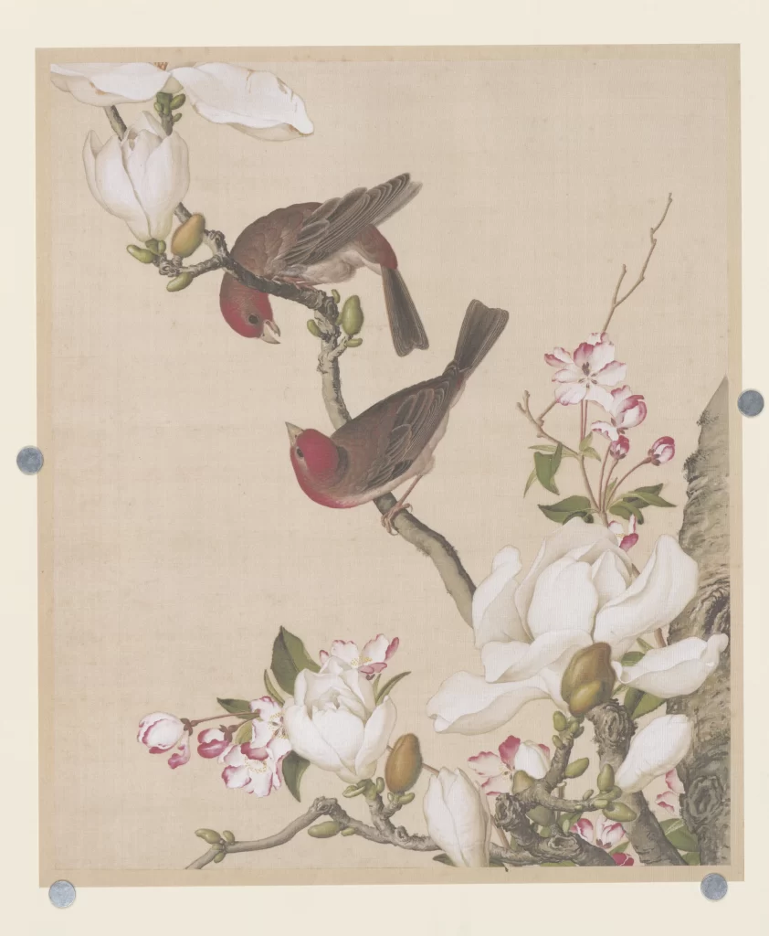 Tuberose Moth Castiglione