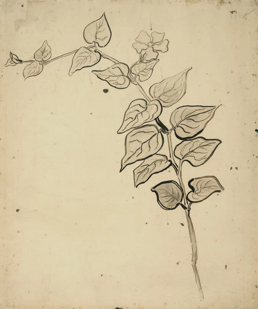 Plant Leaves Flower Vine Van Gogh
