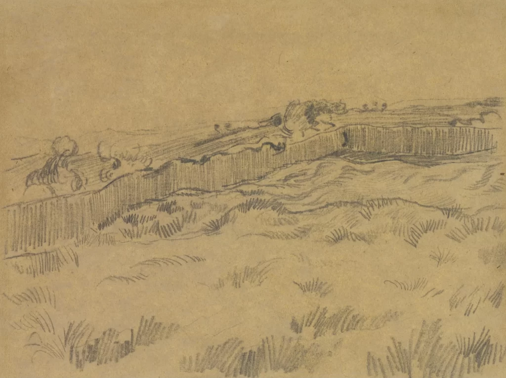 Grass Field Fence Trees Van Gogh