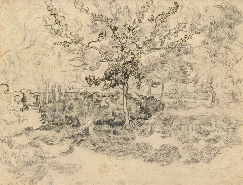 Tree Branches Grass Bushes Van Gogh