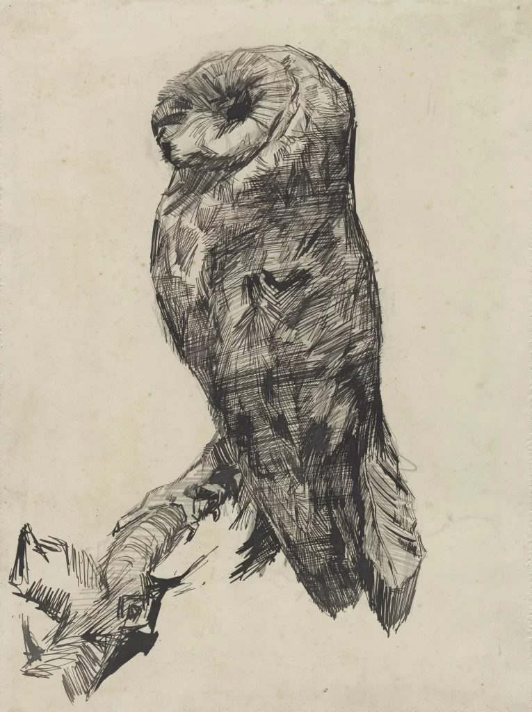Owl Perched Branch Feathers Van Gogh